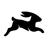Headless CMS Directus